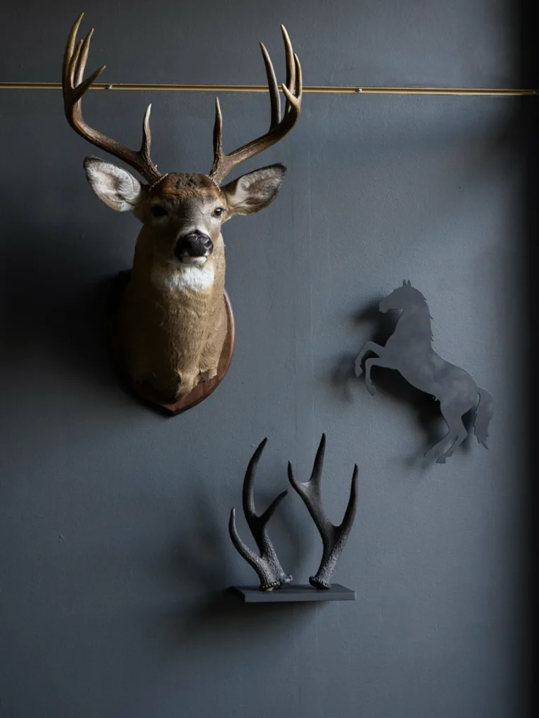 Close up of matching matte black finish across a deer mount, horse silhouette, and antler cluster grouped on the same wall, consistent material styling