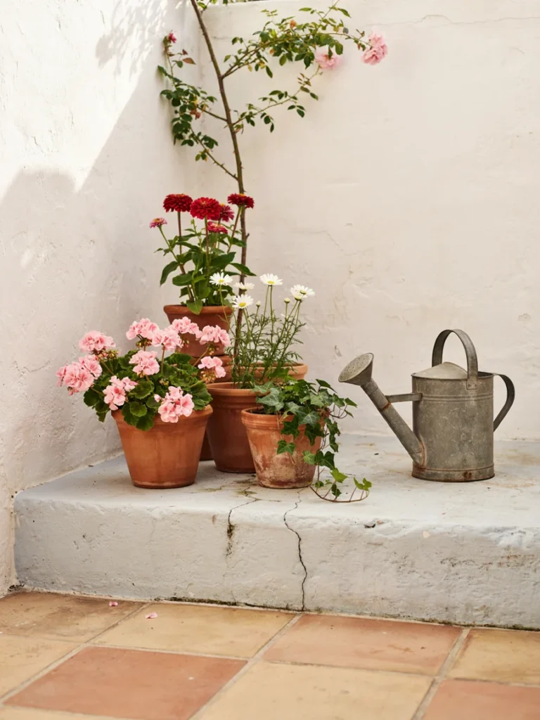 Grouped terracotta pots of varying heights planted with flowers, next to a vintage metal watering can]