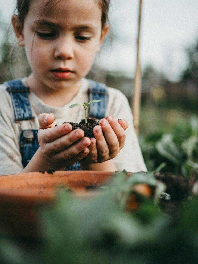 A close up shot of a small child's hands cupping soil and a tiny seedling, showing focus and wonder on their face in the background, illustrating fine motor engagement and curiosity.